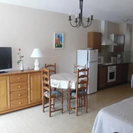 Confortable Avec Loggia Et Garage, Proche Centre-ville Et Cures, Animaux Bienvenus - Fr-1-703-63 Amélie-les-Bains-Palalda