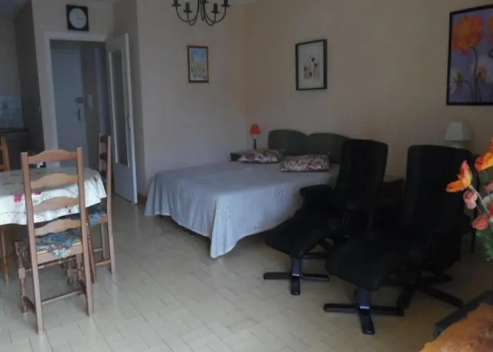 Apartman Confortable Avec Loggia Et Garage, Proche Centre-ville Et Cures, Animaux Bienvenus - Fr-1-703-63