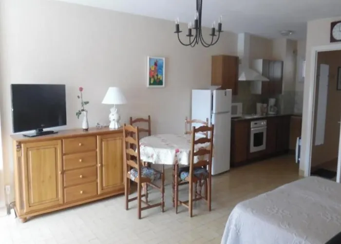 Confortable Avec Loggia Et Garage, Proche Centre-ville Et Cures, Animaux Bienvenus - Fr-1-703-63 Amélie-les-Bains-Palalda